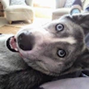 Meet your Posher, Robin